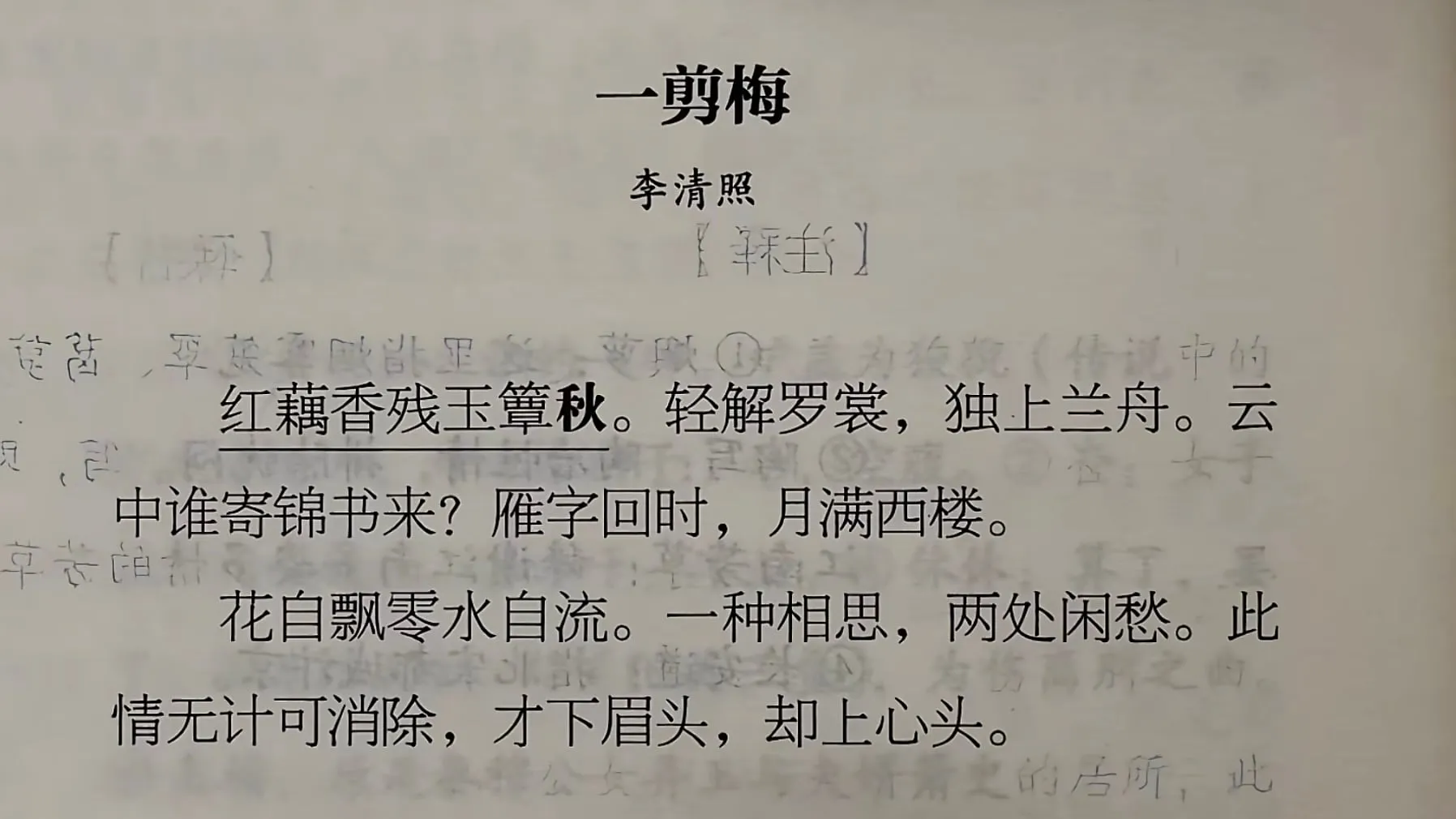滤镜