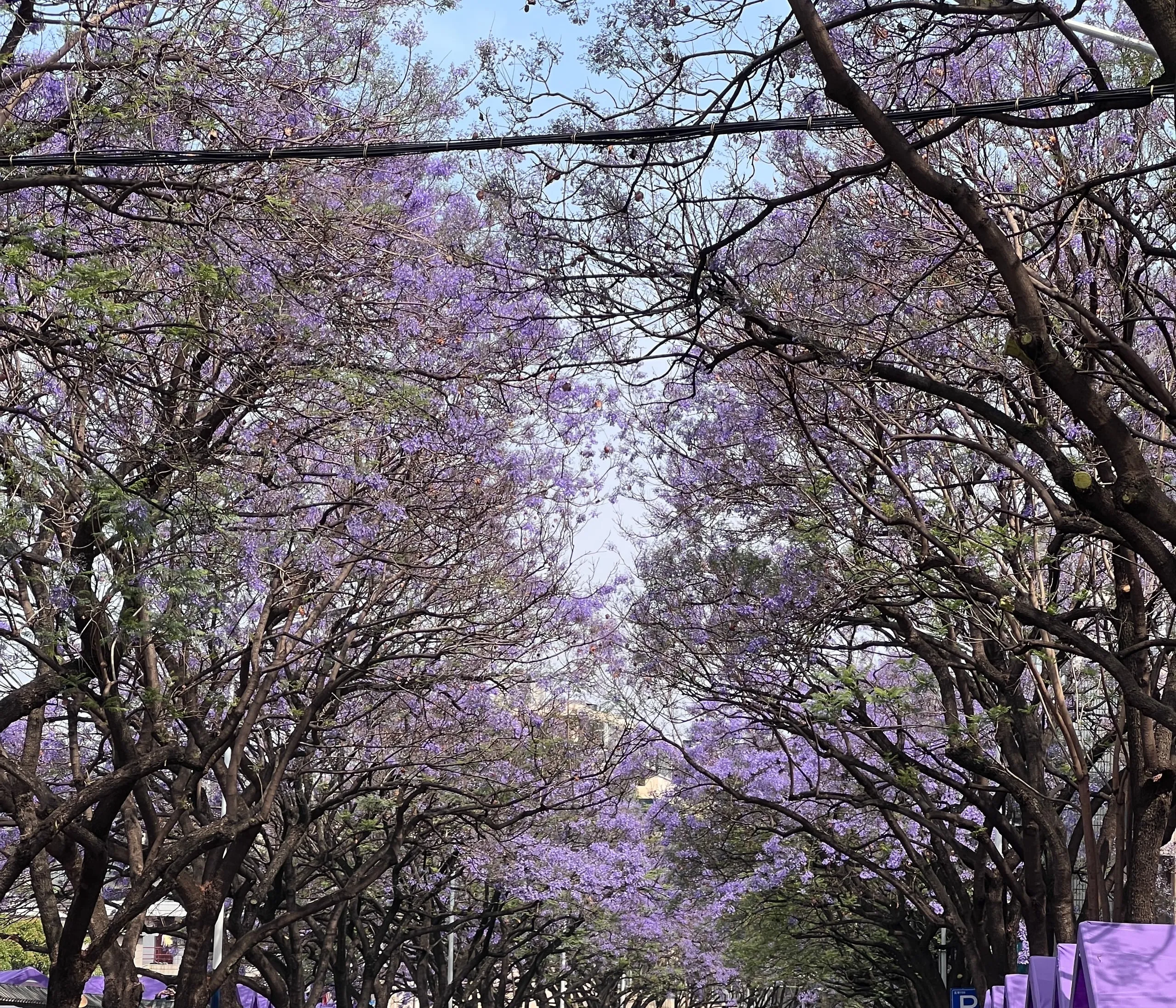 教场中路