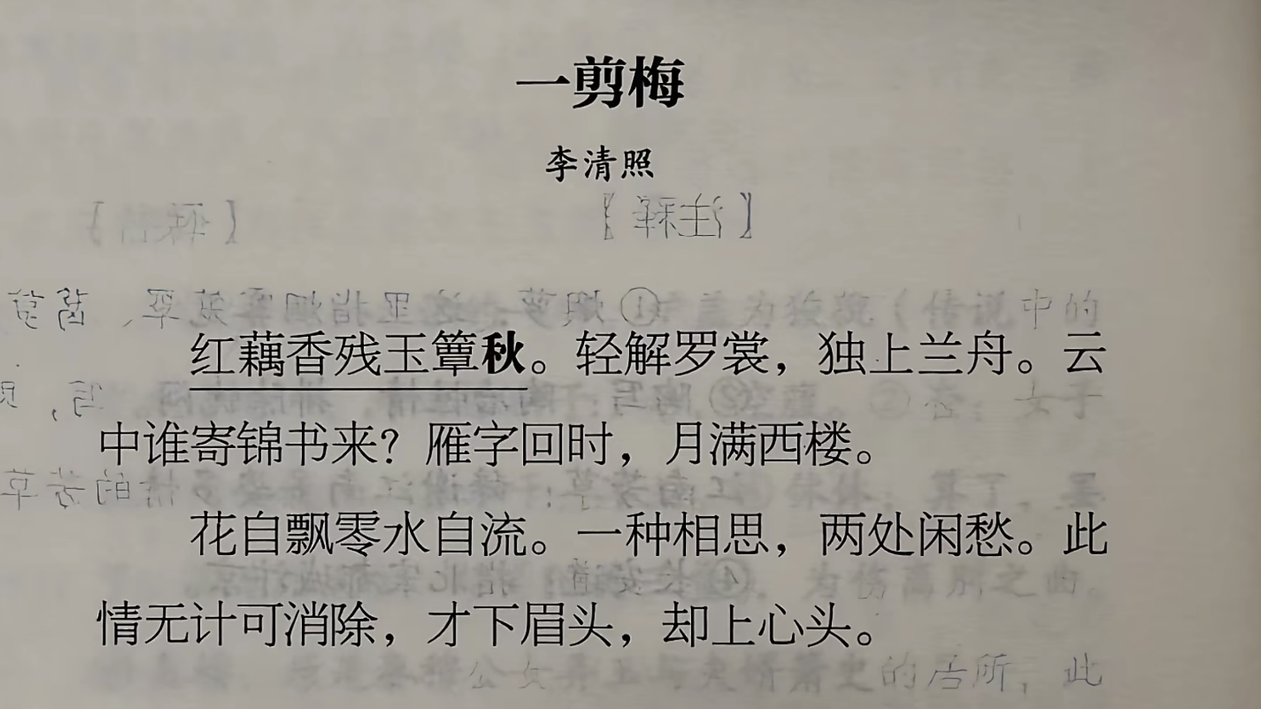 滤镜